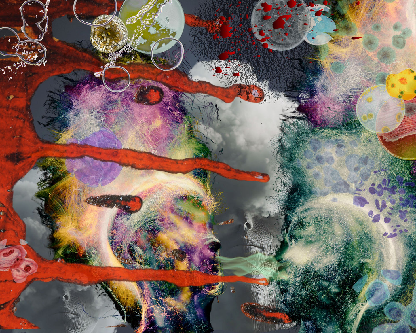 A surreal portrait of two abstract faces meeting in profile, built from layered textures, organic shapes, and atmospheric color.